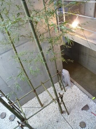 D-Square千歳船橋の物件内観写真